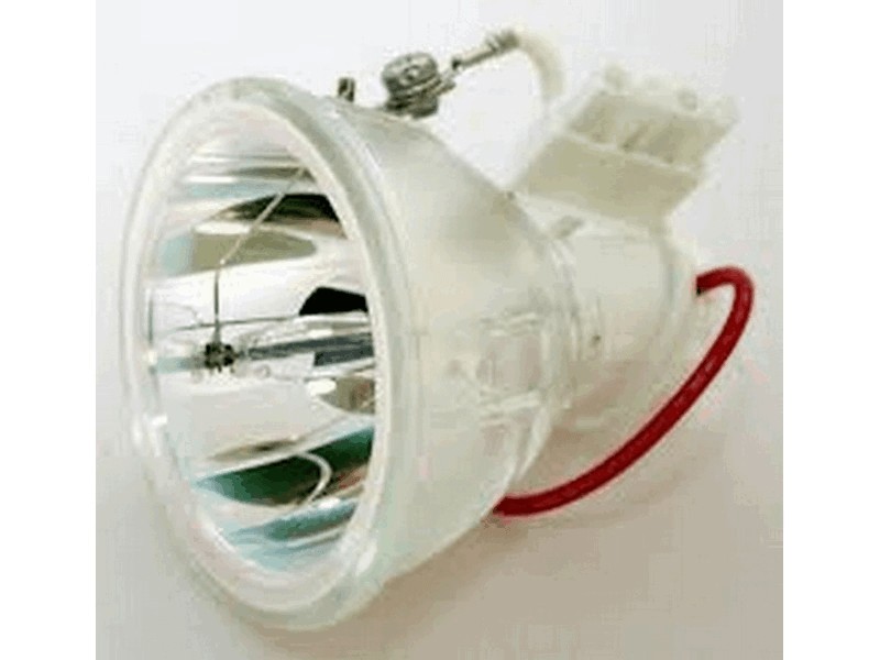  SHP24 Bulb SpecialtySHP24ProjectorLamp